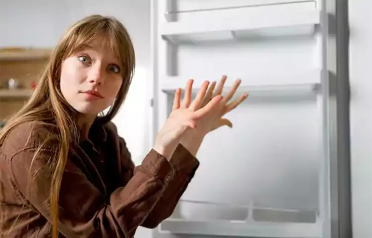 علت خاموش شدن ساید بای ساید هنگام کار + راهکار