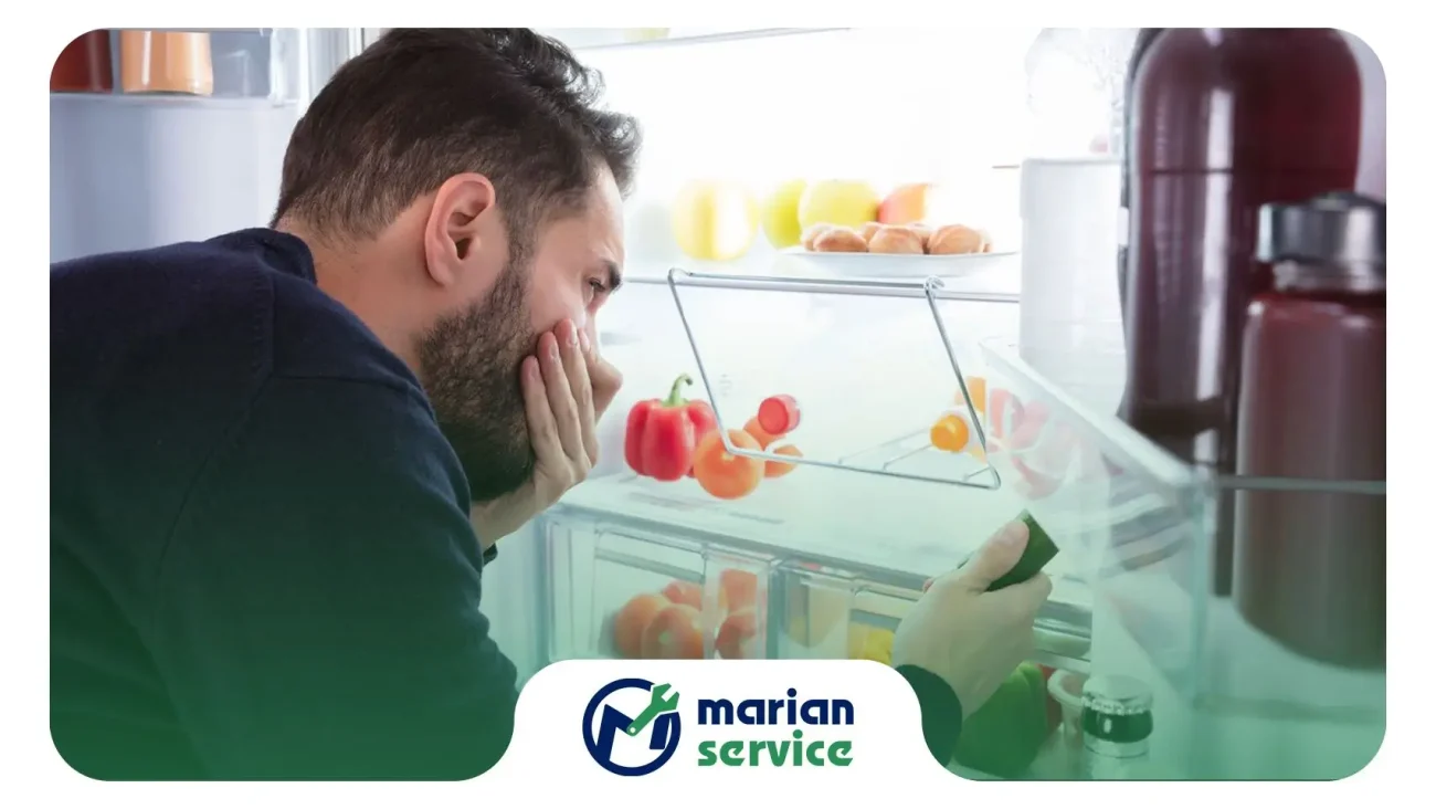 دلایل اصلی بوی بد یخچال