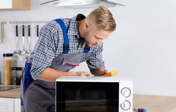 علت صدای زیاد مایکروویو