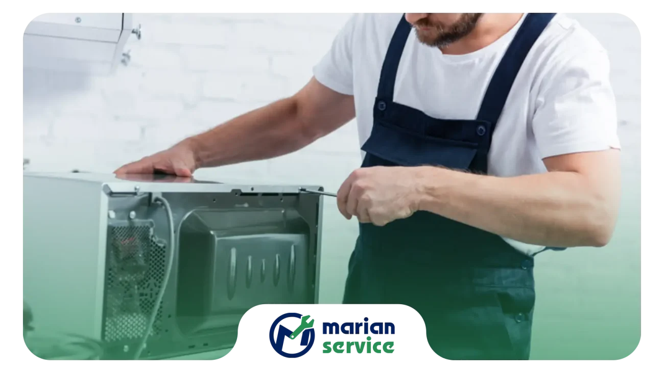 آسیب دیدگی صفحه گردان در ماکروفر