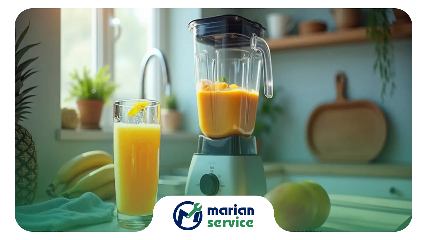 علت نشت آبمیوه از آبمیوه گیری؟ راه حل های تعمیر در خانه